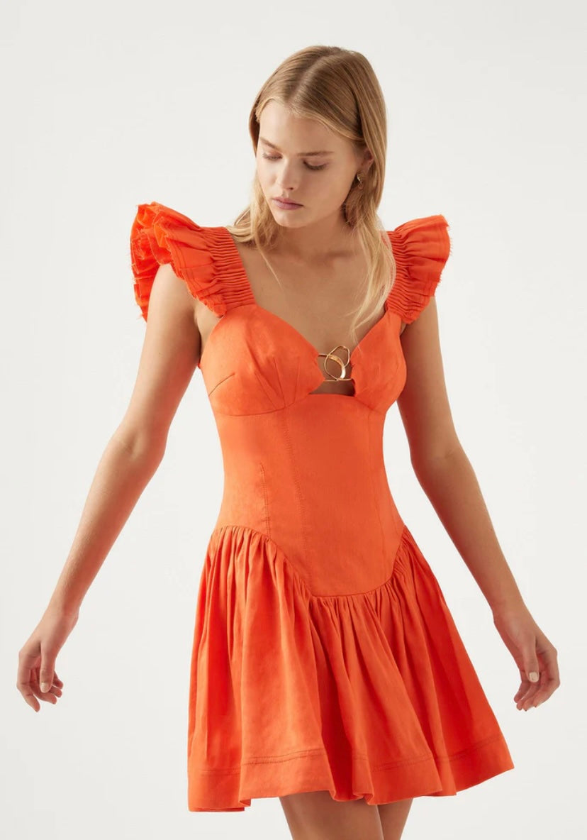 Aje Simone Mini Dress – Rent with Iz